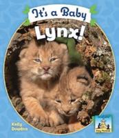 It's a Baby Lynx!