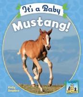 It's a Baby Mustang!