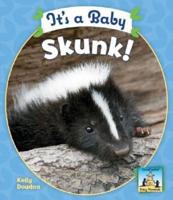 It's a Baby Skunk!