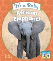 It's a Baby African Elephant!