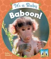 It's a Baby Baboon!