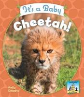 It's a Baby Cheetah!