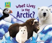 What Lives in the Arctic?