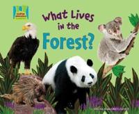 What Lives in the Forest?