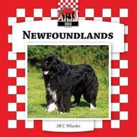 Newfoundlands