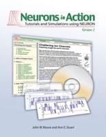 Neurons in Action 2