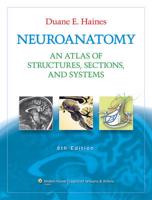 Neuroanatomy