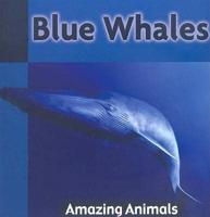 Blue Whales