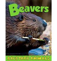 Beavers