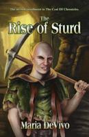 The Rise of Sturd