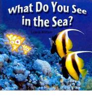 What Do You See in the Sea?