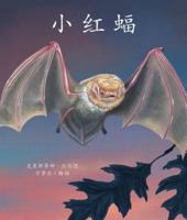 Little Red Bat in Chinese