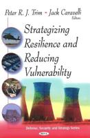 Strategizing Resilience and Reducing Vulnerability