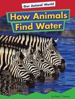 How Animals Find Water
