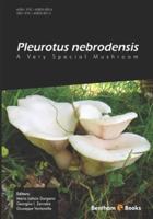 Pleurotus Nebrodensis