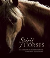 Spirit Horses