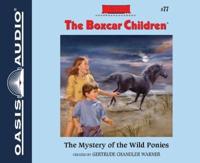 The Mystery of the Wild Ponies (Library Edition)