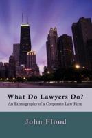 What Do Lawyers Do?