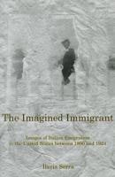 The Imagined Immigrant
