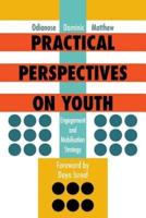 Practical Perspectives on Youth: Engagement and Mobilisation Strategy