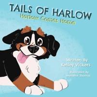 Tails of Harlow