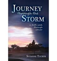 Journey Through the Storm