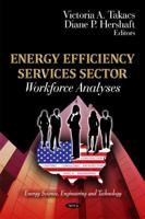 Energy Efficiency Services Sector