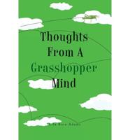 Thoughts from a Grasshopper Mind