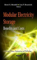 Modular Electricity Storage