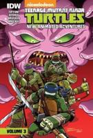 Teenage Mutant Ninja Turtles: New Animated Adventures: Volume 3