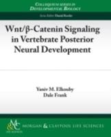 Wnt/ -Catenin Signaling in Vertebrate Posterior Neural Development