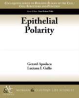 Epithelial Polarity