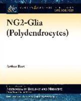 NG2-Glia (Polydendrocytes)