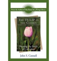 Tulip in the Garden