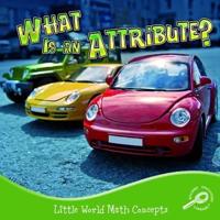 What Is An Attribute?