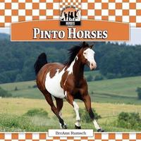 Pinto Horses