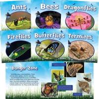 Insects (Big Buddy Books) (Set)