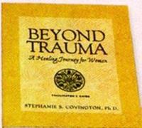 Beyond Trauma Facilitators DVD Set