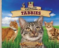 Terrific Tabbies