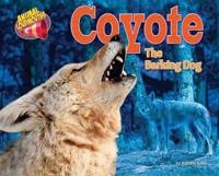 Coyote