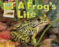 A Frog's Life