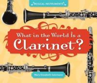 What in the World Is a Clarinet?