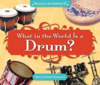 What in the World Is a Drum?