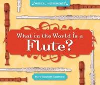What in the World Is a Flute?