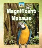 Magnificent Macaws