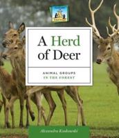 A Herd of Deer