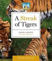 A Streak of Tigers