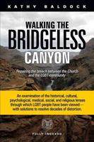 Walking the Bridgeless Canyon