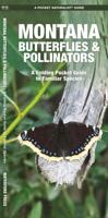 Montana Butterflies & Pollinators