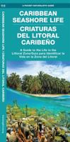 Caribbean Seashore Life (Criaturas Del Litoral Caribeno)